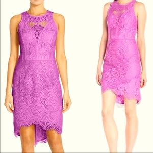 Adelyn Rae Cocktail Dress - Lace High Low Lilac - Size M